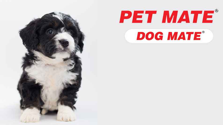 Petmate articles pour chiens