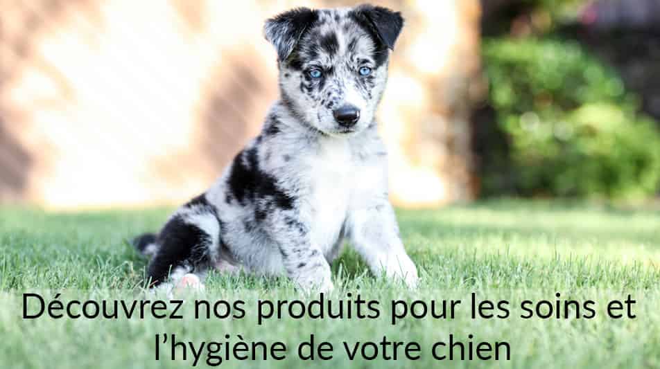 Produits pour le soin du corps des chiens et la nursery