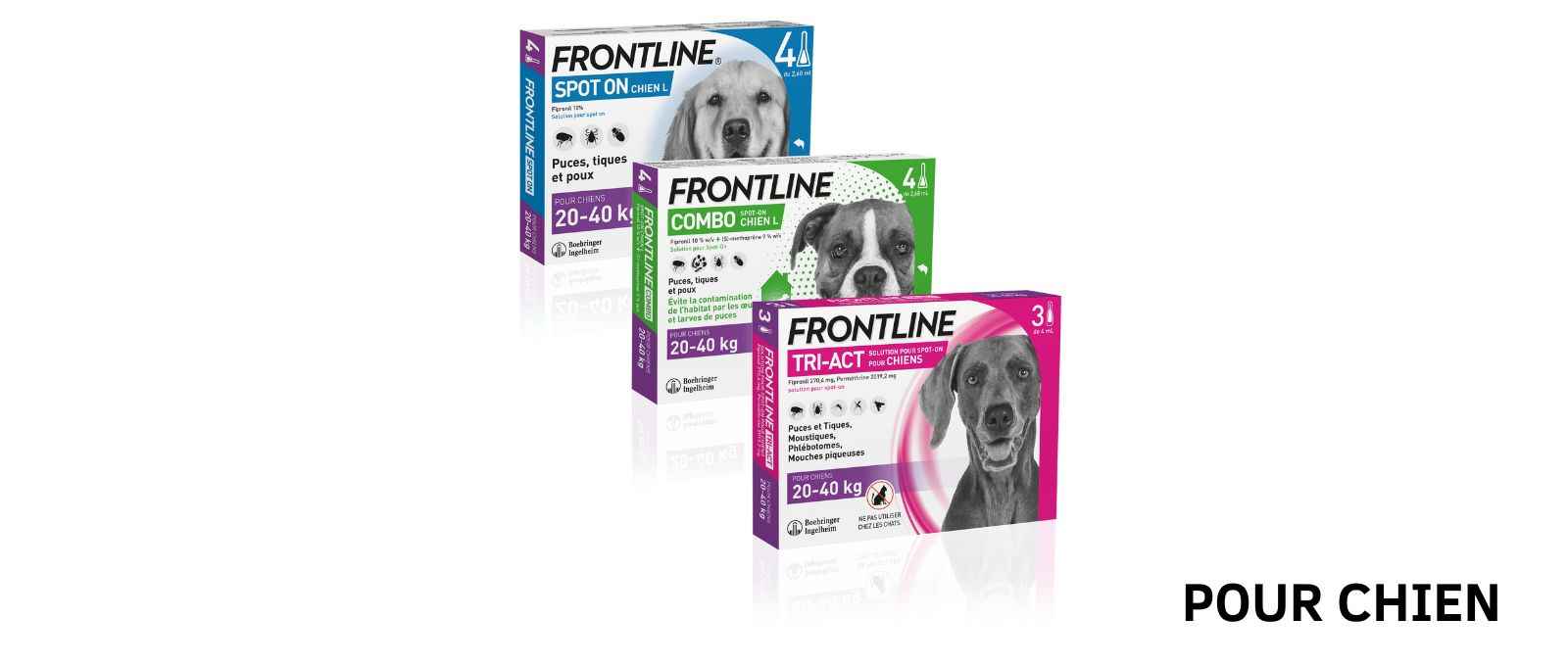 Frontline antiparasitaires pour chiens