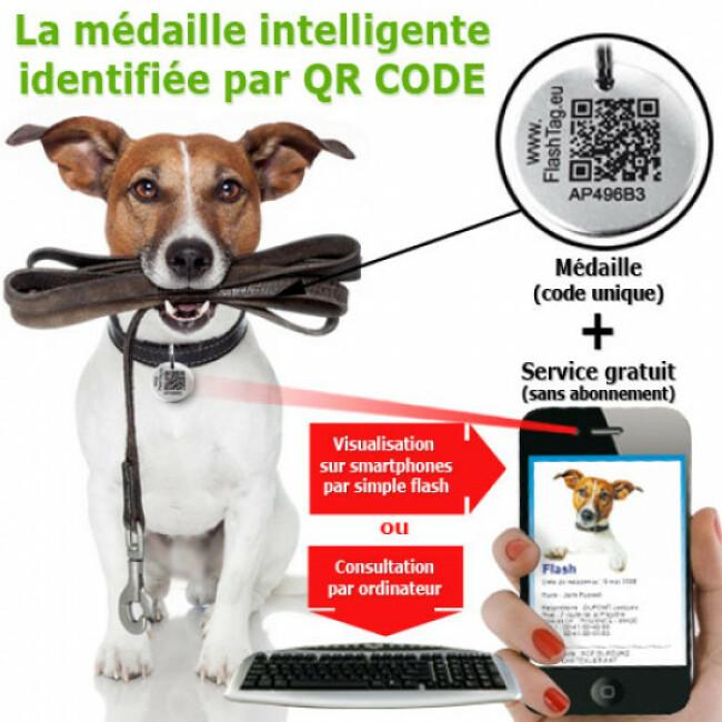 Médaille intelligente gravée QR code d'identité pour chien et chat
