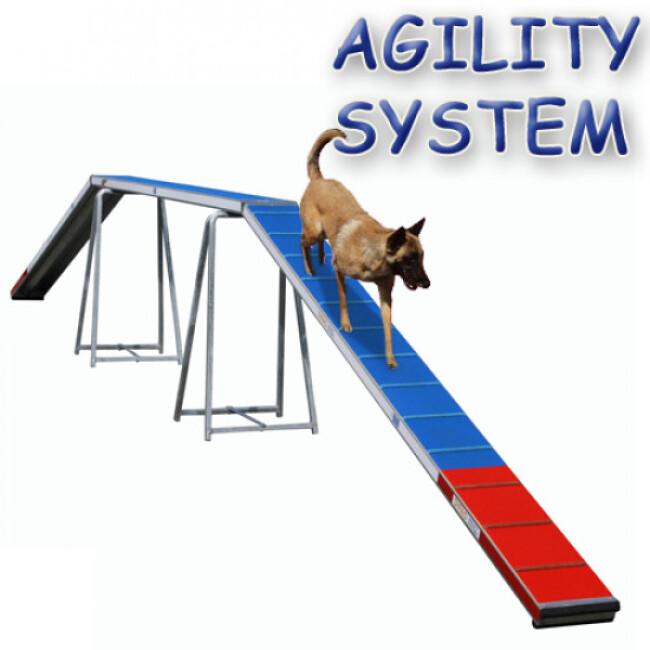 Passerelle Agility System pour sport canin