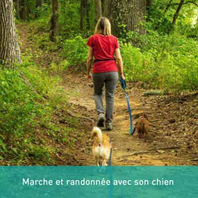 Marche et randonnée avec son chien