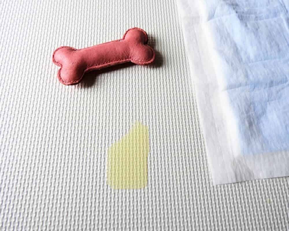 Comment faire un coin pipi pour son chien ?