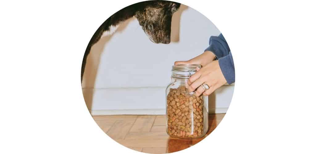 Conteneur pour croquettes pour chien