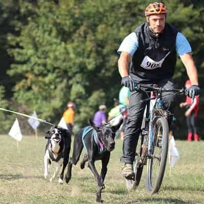Les sports à pratiquer seul avec son chien