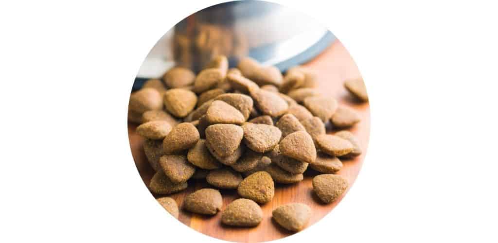 Croquettes pour chien