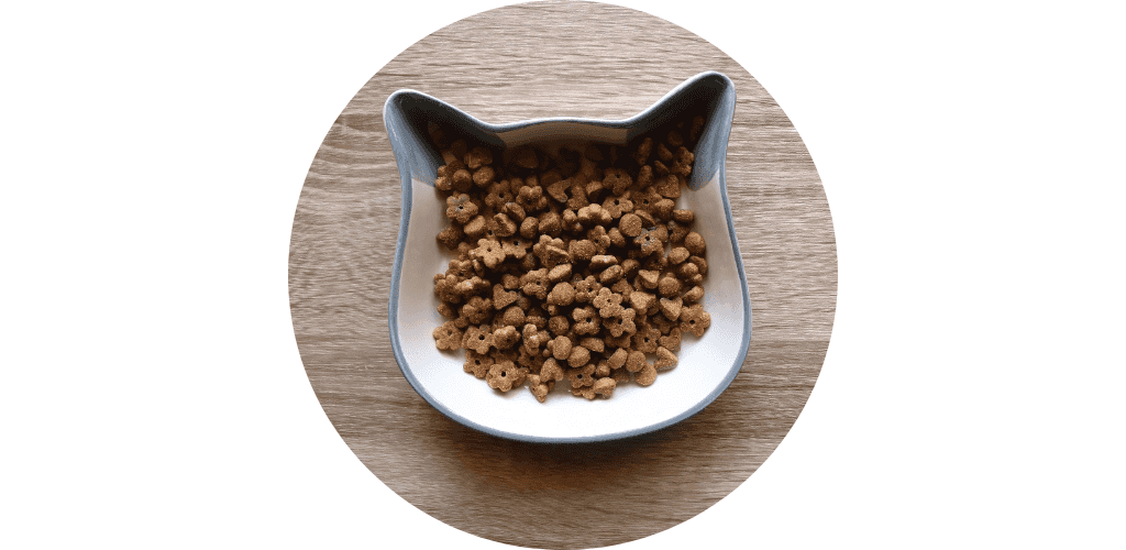 Croquettes pour chat