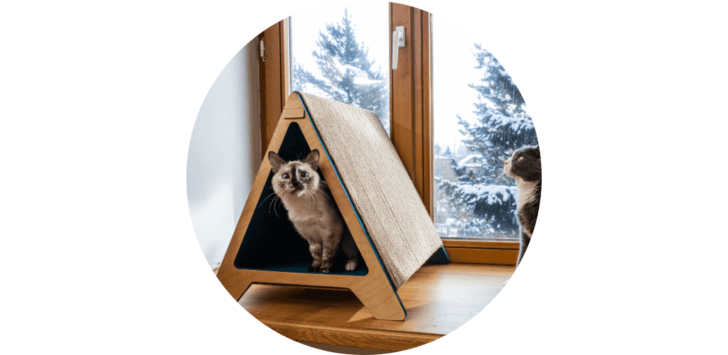 Maison pour chat