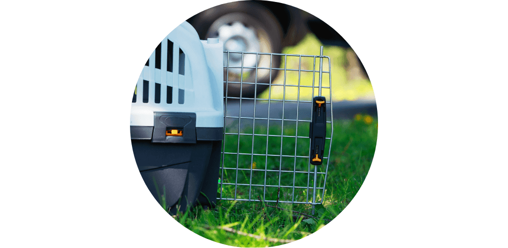 Cage de transport pour chat
