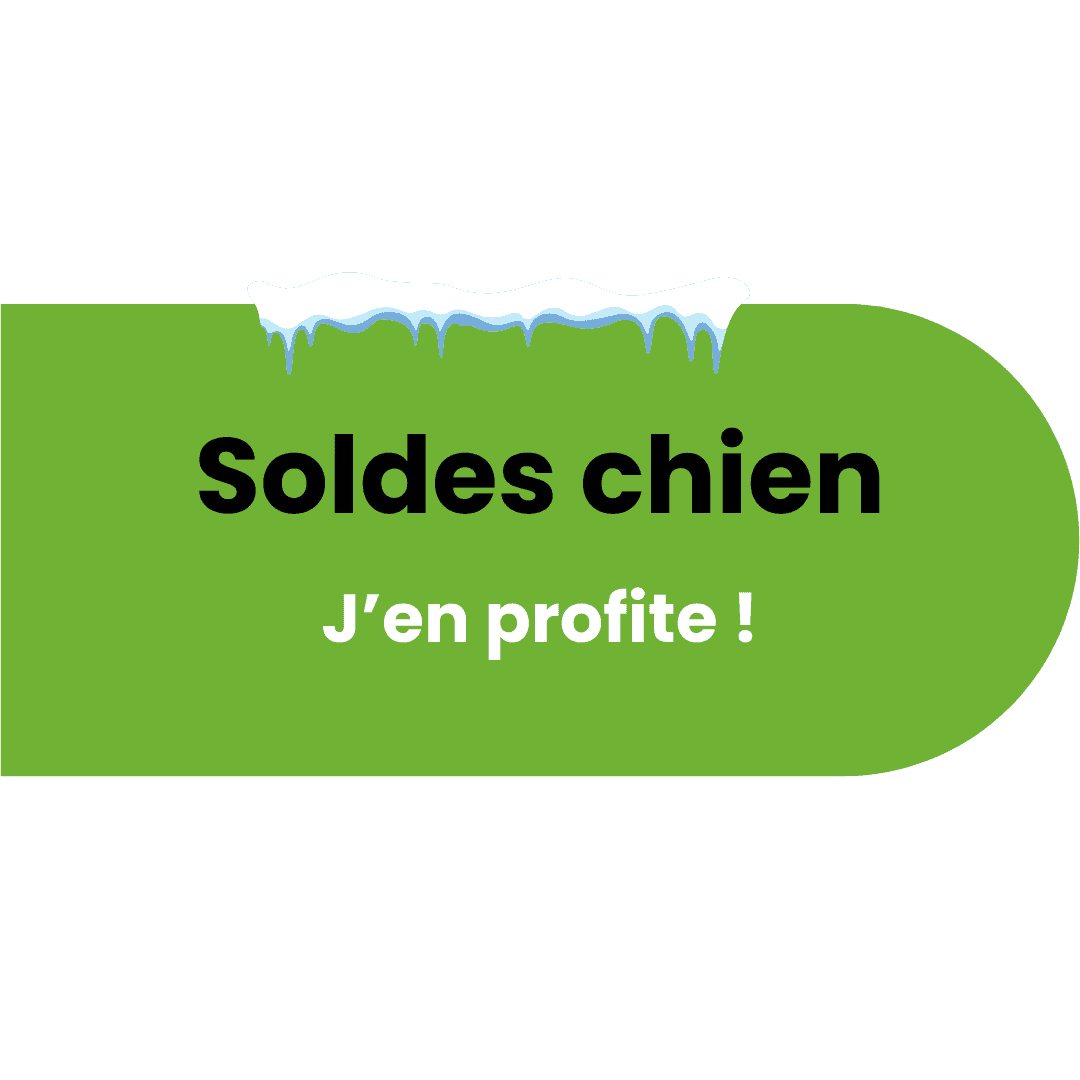Soldes chien