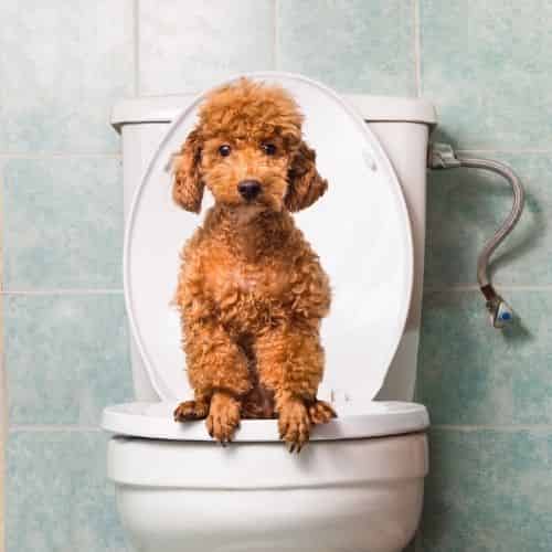 L’importance de bien boire pour s’hydrater
