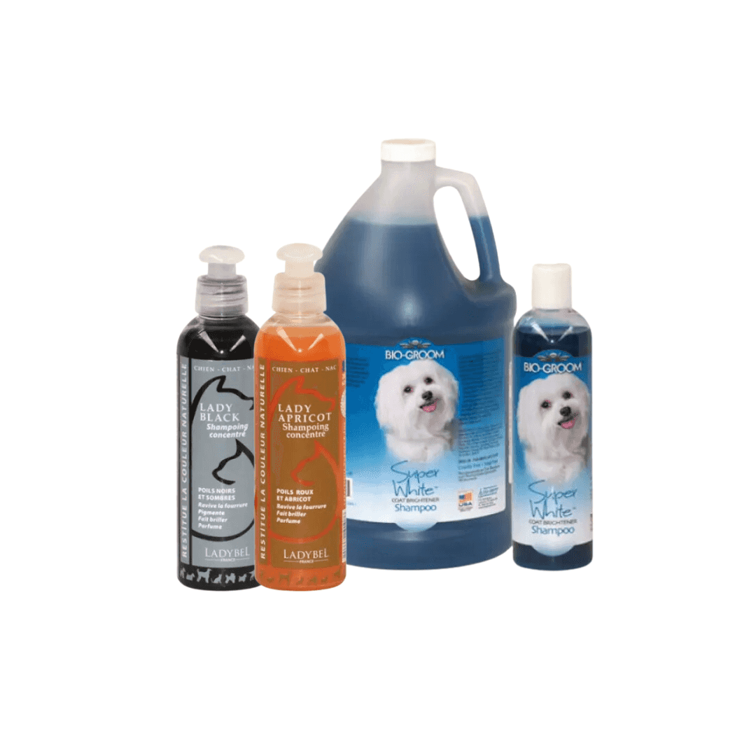 Coloration pour chat