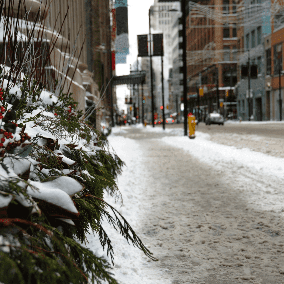 Le sel de déneigement