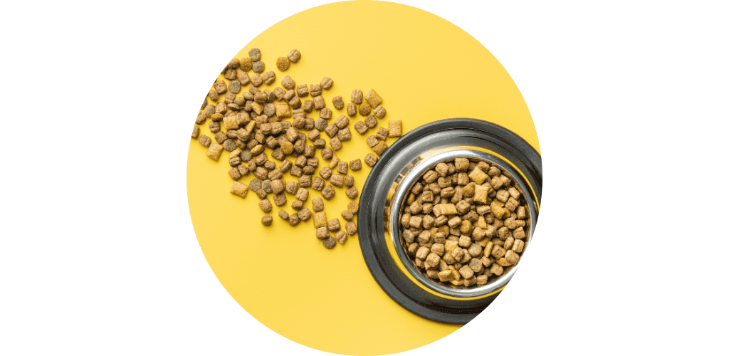 Distributeur de croquettes pour chat