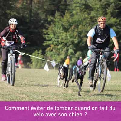 Comment éviter de tomber quand on fait du vélo avec son chien ?