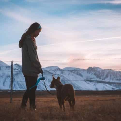 Quelle odeur pour attirer son chien afin de faire pipi ?