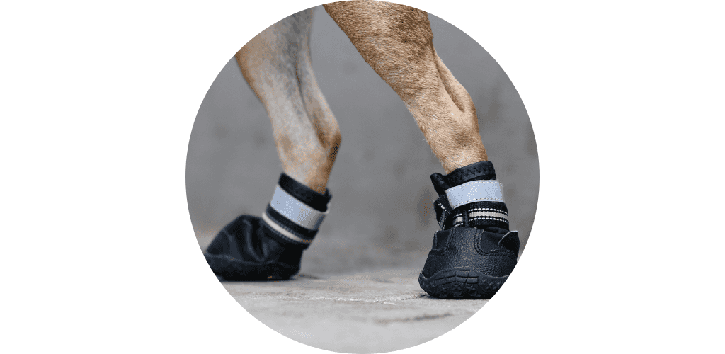 Bottines pour canicross
