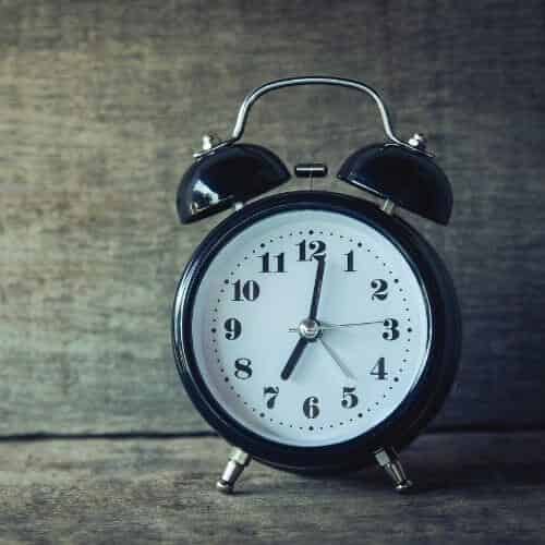 Chien seul 12 heures par jour, comment faire ?