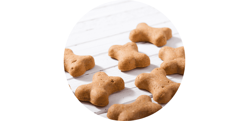 Biscuits pour chien