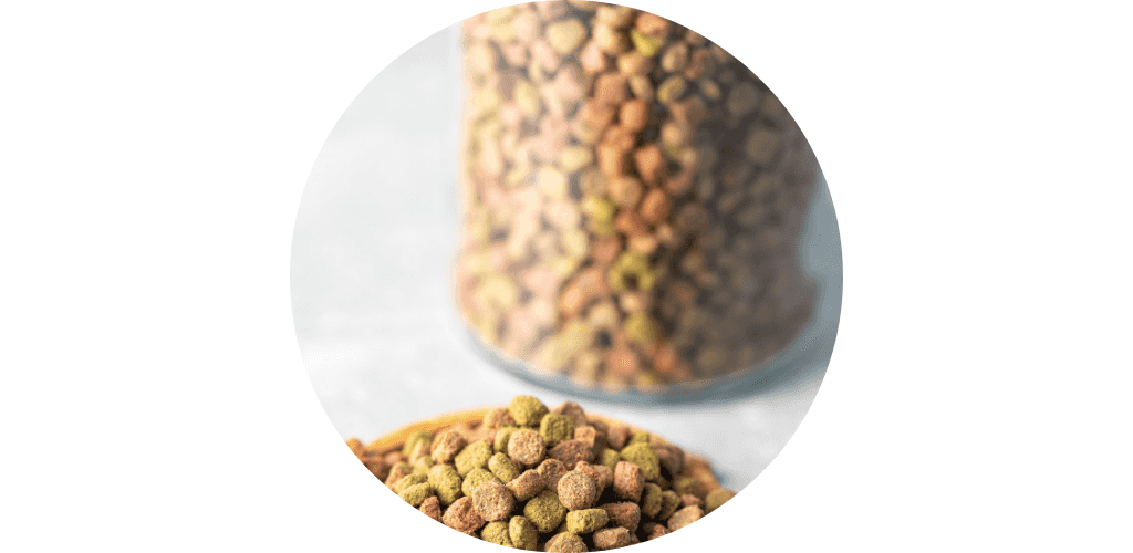 Conteneur à croquettes pour chat