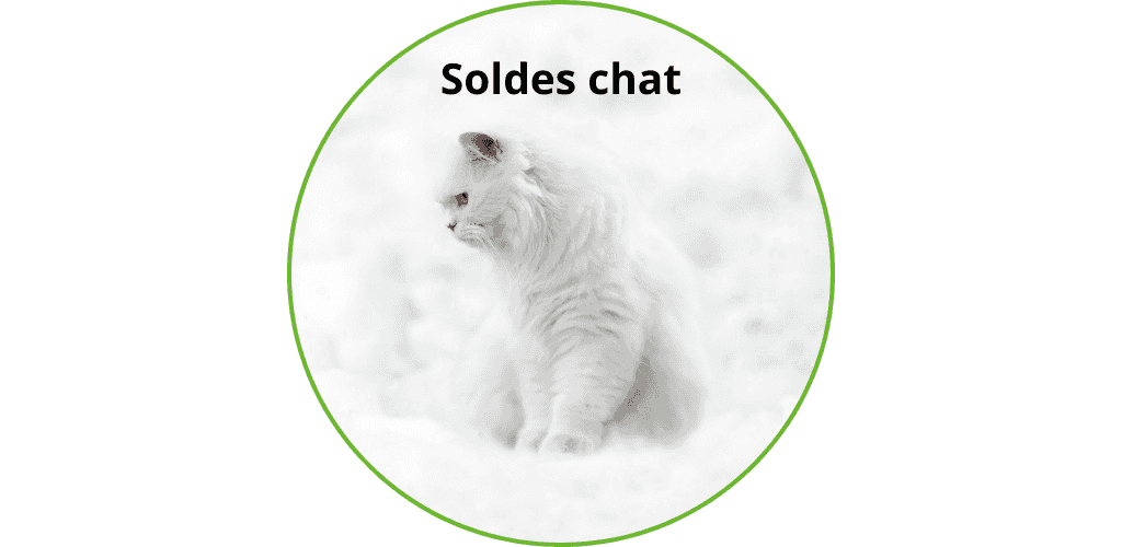 Soldes chat