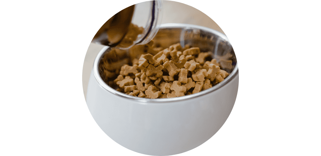 Friandises cuisinées pour chien