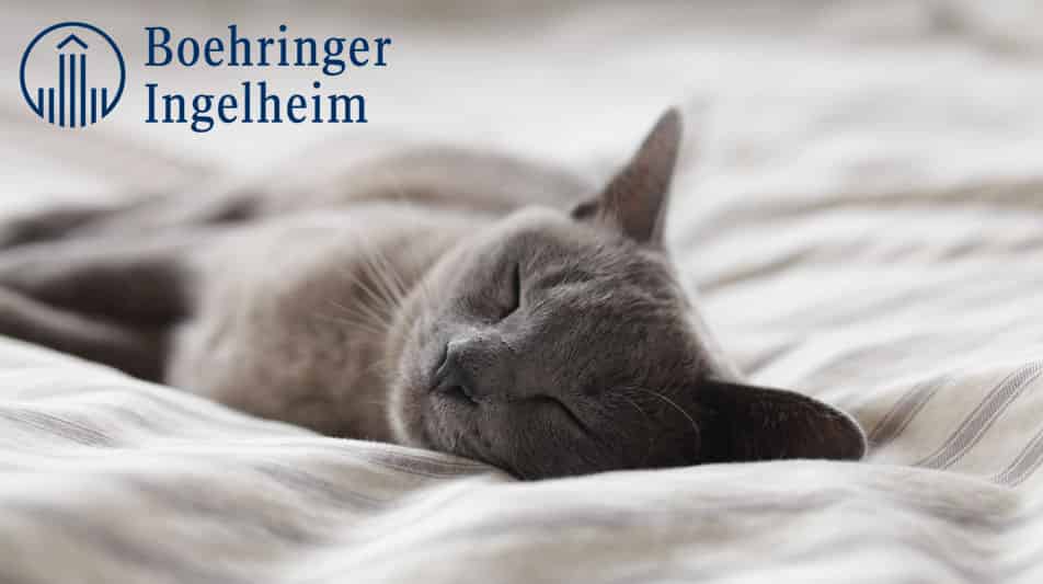 boehringer laboratoire pour les médicaments vétérinaires