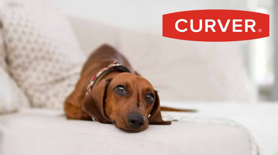 Curver marque de produits de rangement pour chiens