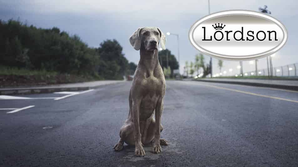 Tondeuse Lordson