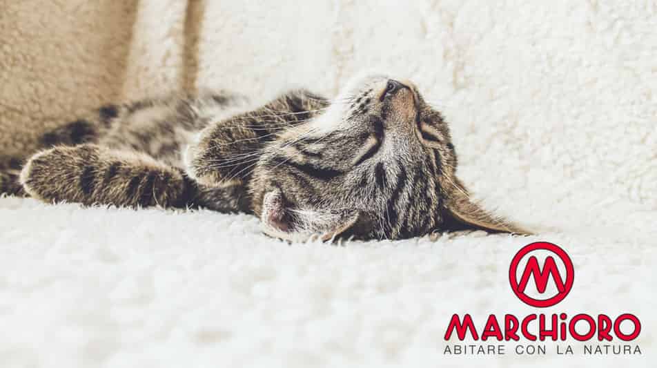 Marchioro fabricant d'articles pour chats