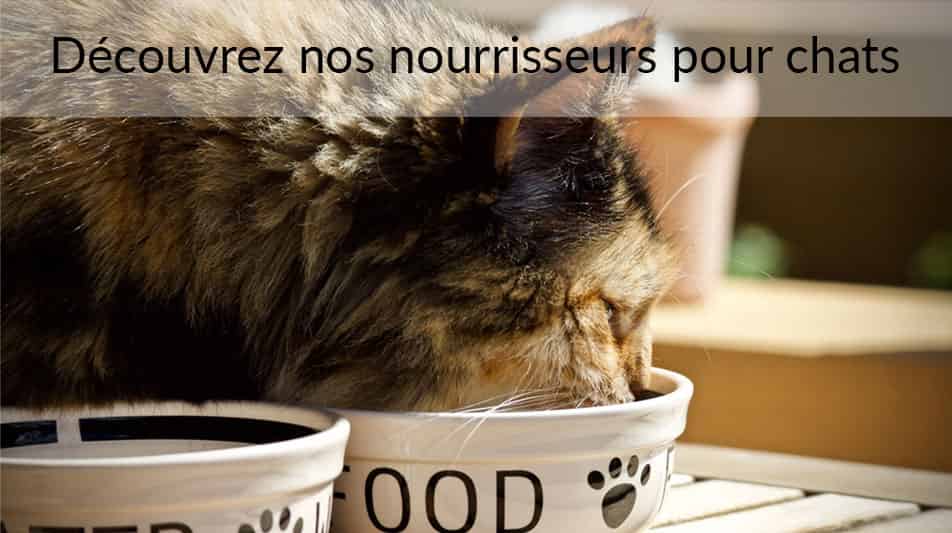 Nourrisseurs pour chats