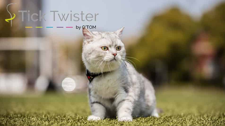 O'tom pince à tiques pour chats
