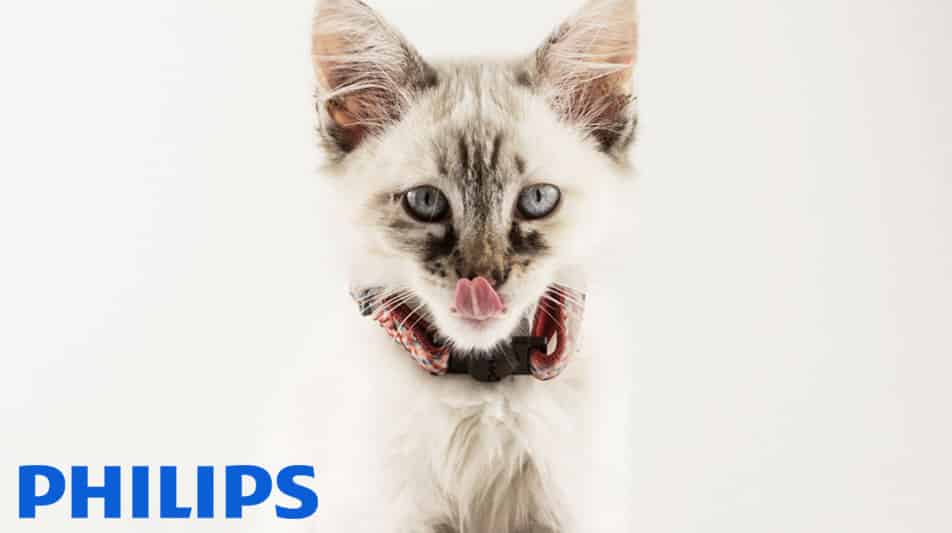 Philips marque connue dans le monde entier
