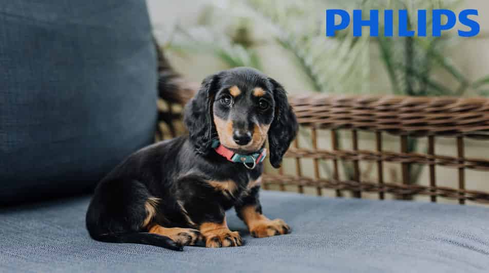Philips marque connue dans le monde entier