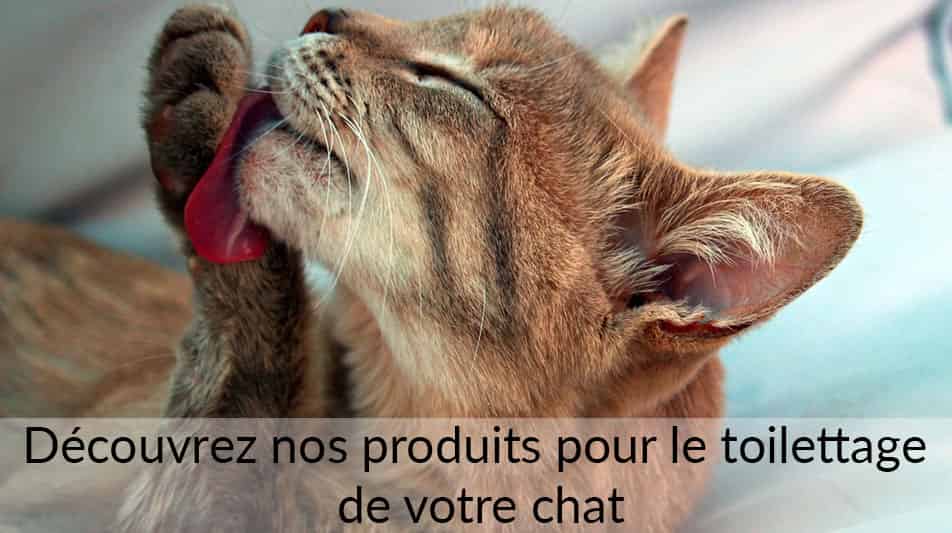 Produits pour le toilettage du chat