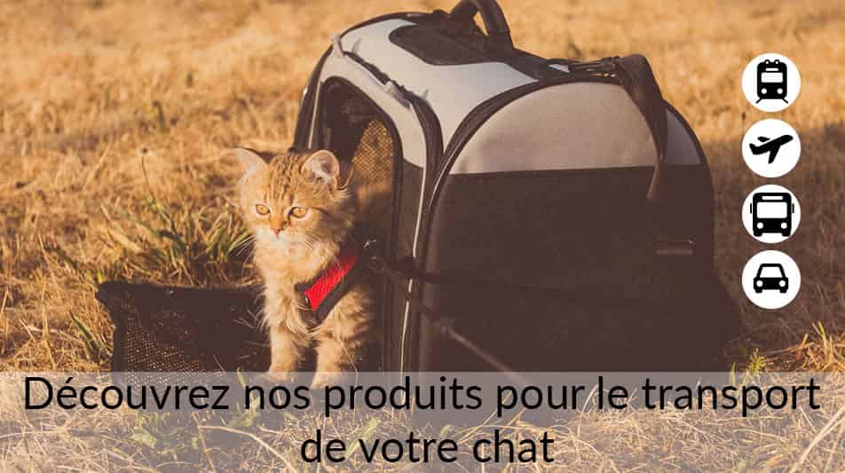 Cages de transport, sacs, paniers et poussettes pour chat