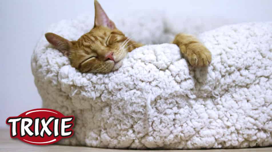 accessoires trixie pour chiens et chats
