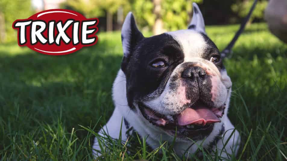 accessoires Trixie pour chiens et chats