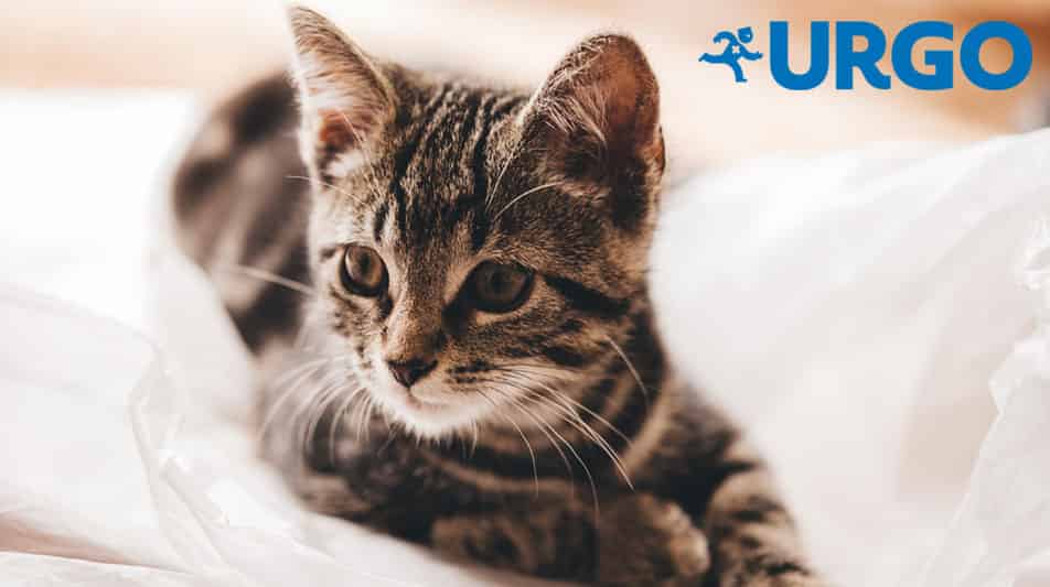laboratoire pharmaceutique Urgo