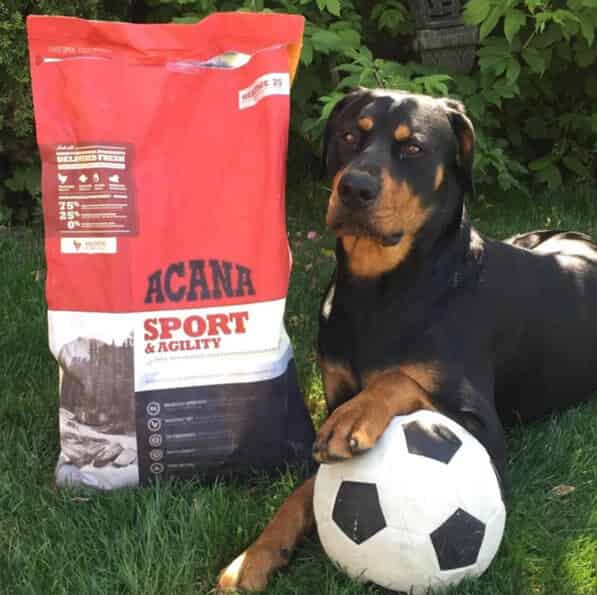 Acana