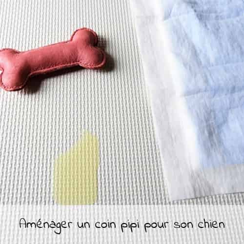 Aménager un coin pipi pour son chien