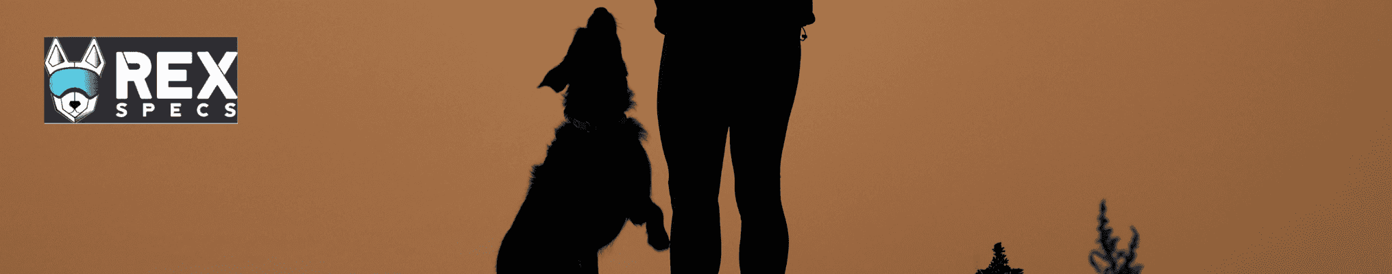 Lunettes pour chien en montagne