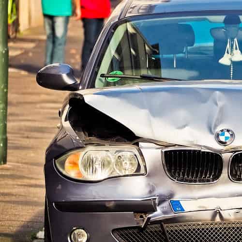 Chien écrasé par un véhicule : qui est responsable de l’accident ?
