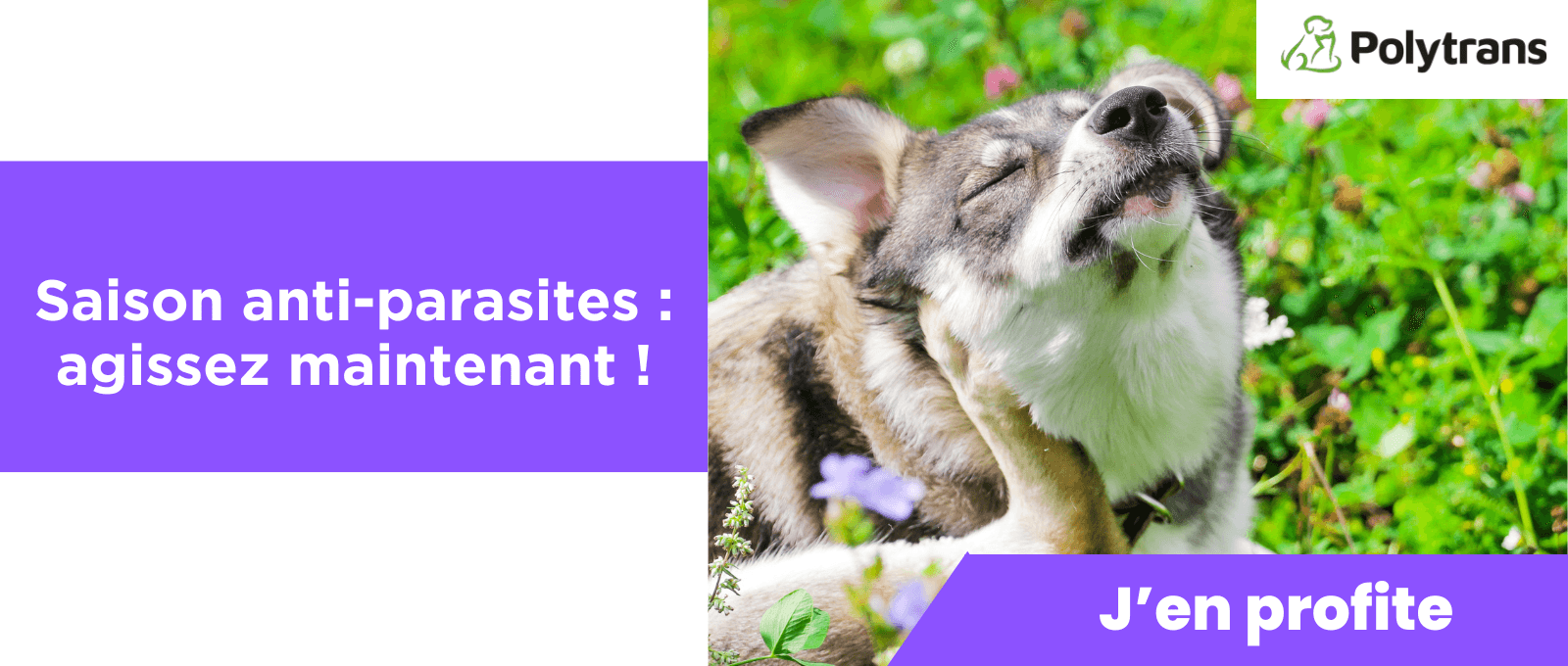 Saison anti-parasites : agissez maintenant !