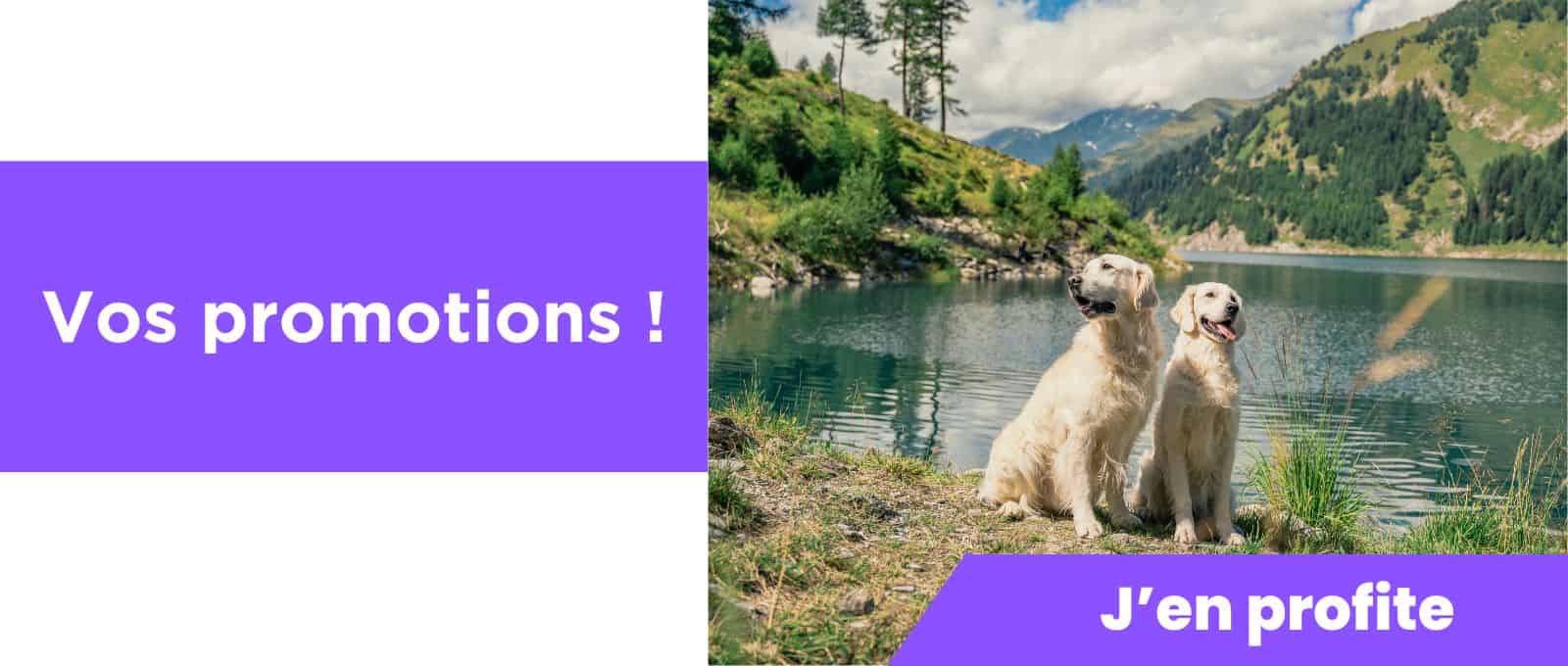 Promotions chiens et chats
