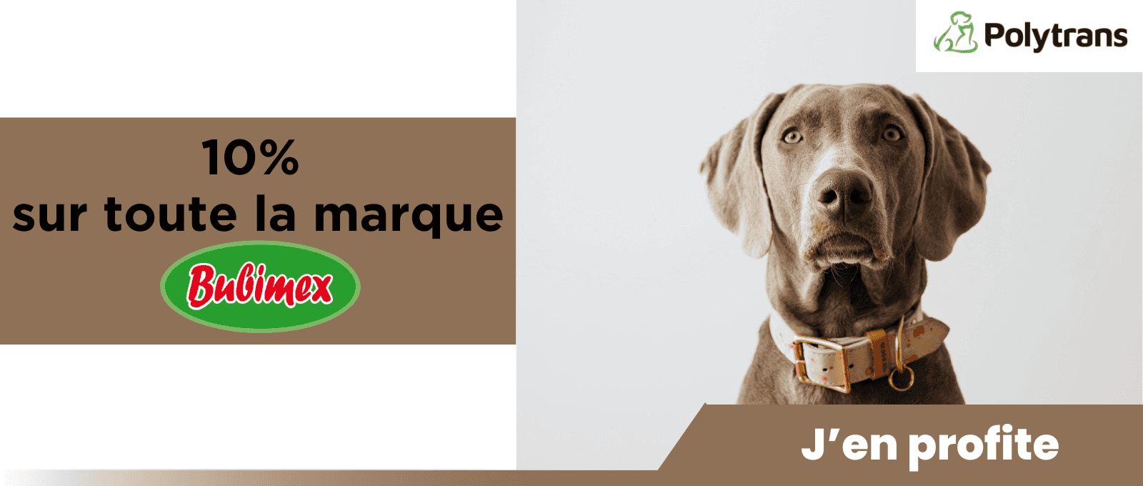 Jouets chiens et chats calmes