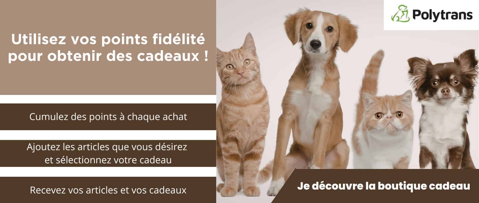 Cadeaux chien et chat