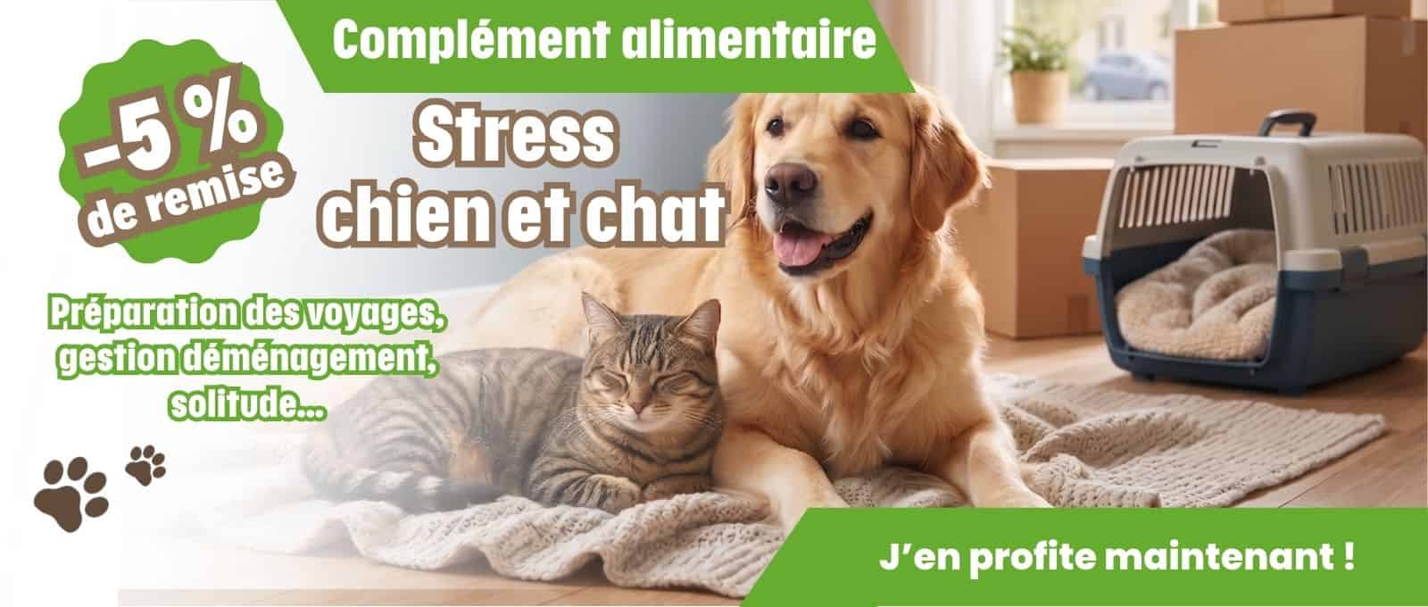 https://www.polytrans.fr/decouvrez-les-jouets-kong-2026