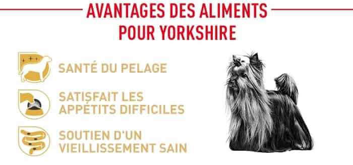 croquettes pour chien et chat