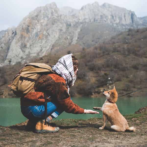 Pourquoi les poils de mon chien deviennent roux ?